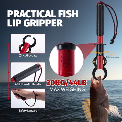 2 Pack Fishing Rod and Reel Combo with Carrier Bag (C6:2PCS Fishing Pole Kit with Carrier Bag / 2.4M/8FT)