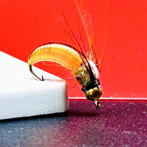 10Pc Wet Flies Bait Fly Fishing Flies for Bass Trout Pike Salmon Brass Head Caddis Nymph Handmade Fishing Bait Artificial Insect Fishing Lure (Orange)