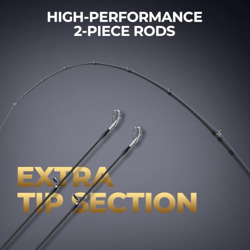 Lethal Phantom Twin (RH Reel, 6'2" M Rod (2-Piece + Extra Tip))