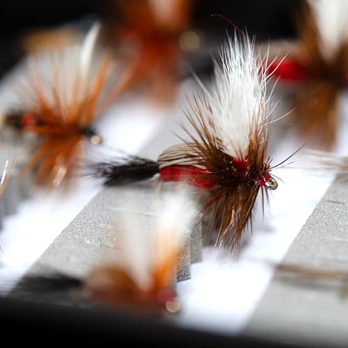 50 Premium Hand Tied Fly Fishing Flies Assortment (50 Premier Collection)