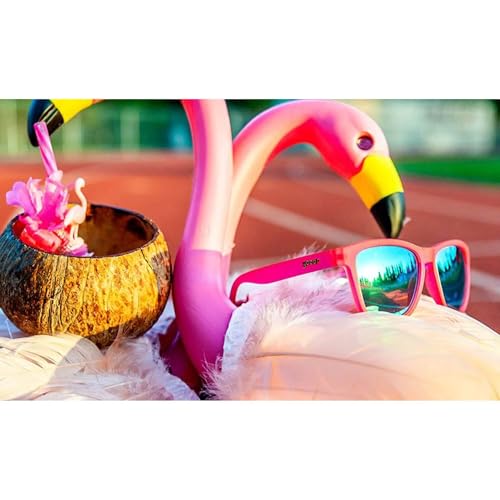 Phoenix At A Bloody Mary Bar Polarized Sunglasses for Men & Women