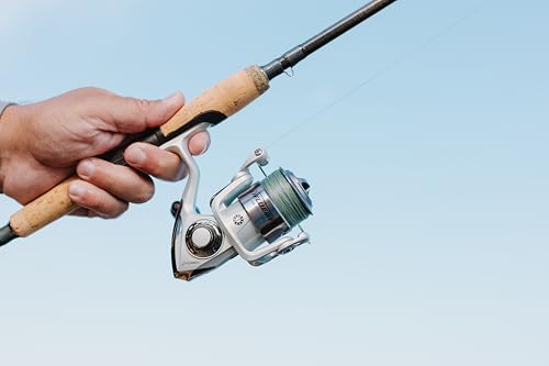Trion Spinning Reel (2022 Model / 40 - Clam)