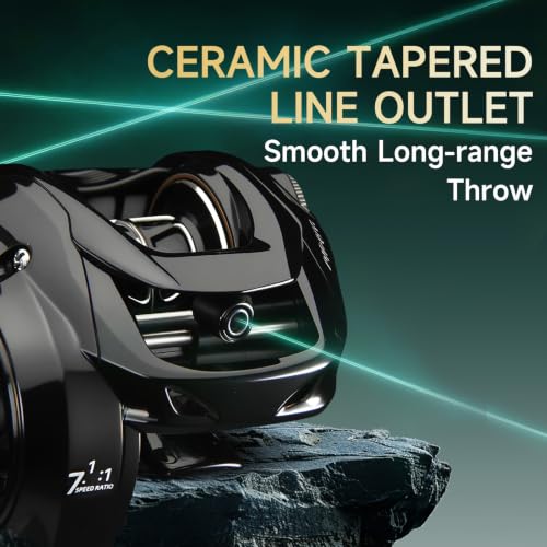 DC Baitcaster Reel (LSB(DC) / Left)