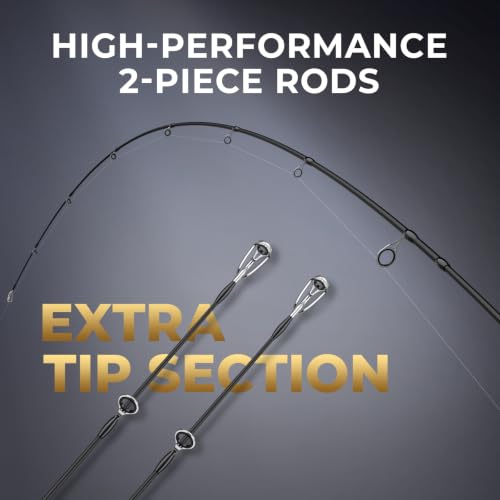 Lethal Phantom Twin (3000 Reel, 7'4" M Rod (2-Piece + Extra Tip))