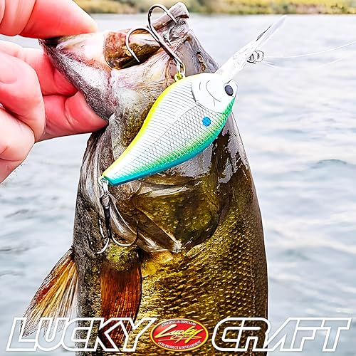 LC 1.5XD ~Silent Crank Action Tournament Winning Perfect Wobbling Freshwater Lake Bass Fishing Champion Bait
