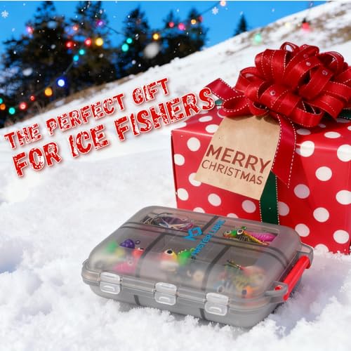 Master Ice Fishing Jigs Kit (C-60PCS)