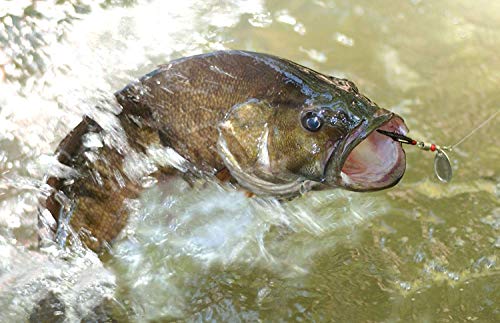 Fishing Lures Spinner baits for Bass