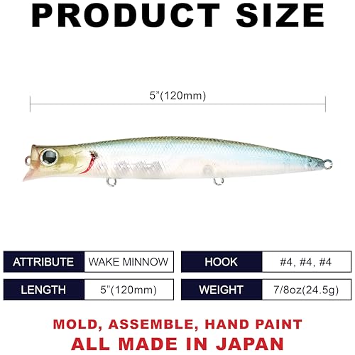 SW Surface Wander 120 (738 Salty Ghost Minnow)