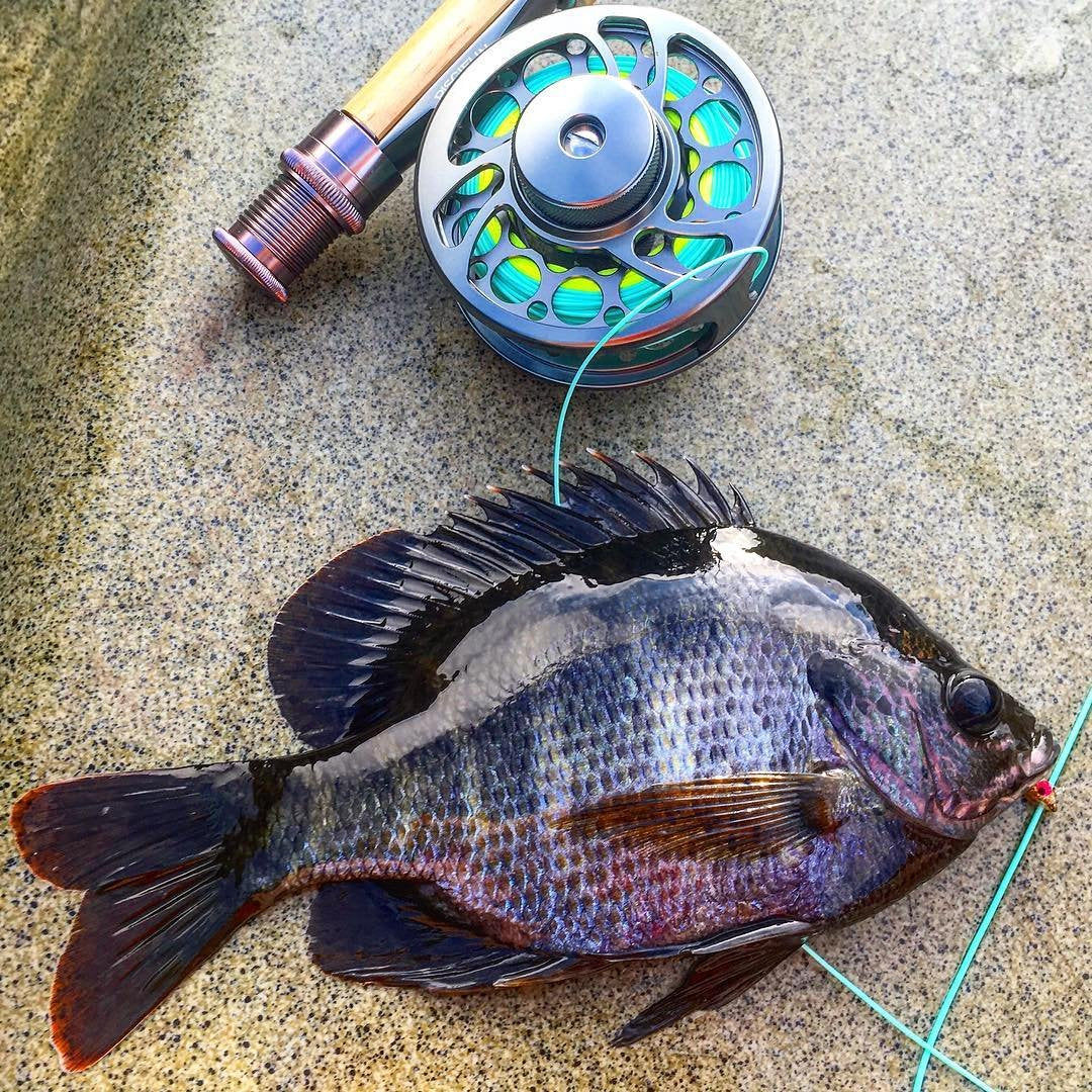 Sword Fly Fishing Reel (Gray-Without Line / 3/4wt)