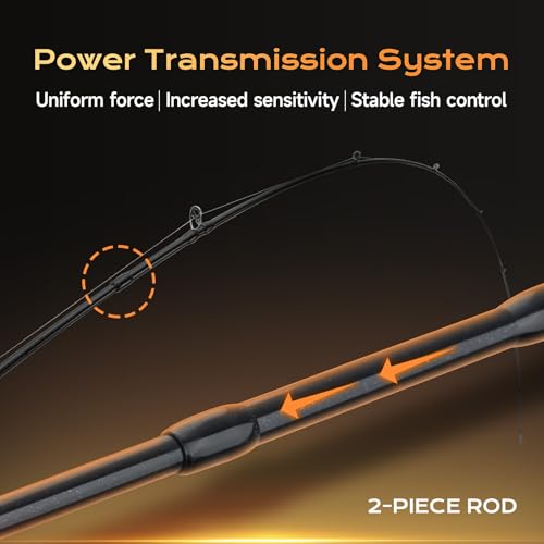 Pioneer Ultralight Spinning Rod 7' Trout Fishing Rod 2 (7' - Ultralight - Fast)