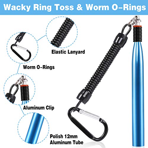 Wacky Worm Fishing Lure Kit