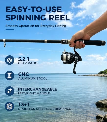 2 Pack Telescopic Fishing Rod and Reel Combo with Lures and Carrier Bag (2 Silver Reel)