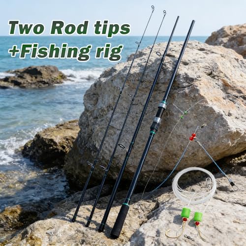 Surf Spinning Fishing Rod 9' (A-Black+Rig-11'0")
