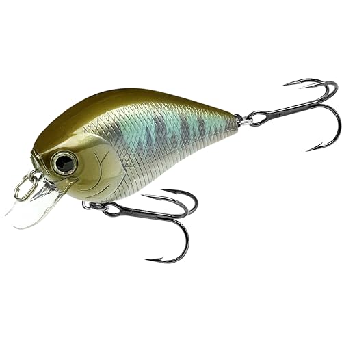 Fat CB BDS2 Fishing Lure