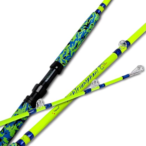 Catfish Fishing Rods (1pc - 7'6"mh (10-50lbs))