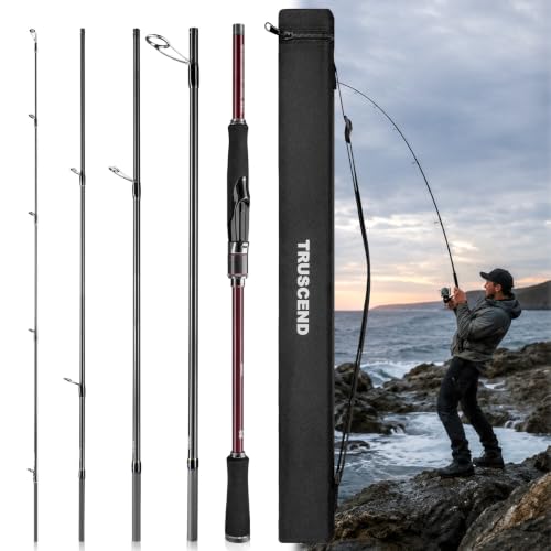 AETHERON Seabass Spinning Rods (9'-ML / Spinning-Fast)