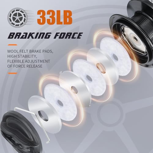 Spinning Reel