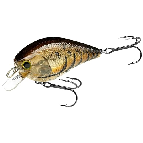 Fat CB BDS2 Fishing Lure