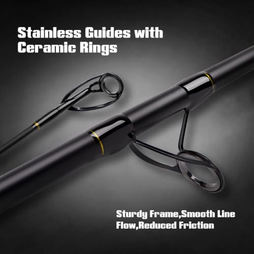 Travel Surf Fishing Rod (Black / Spin/10'6"/3pc)