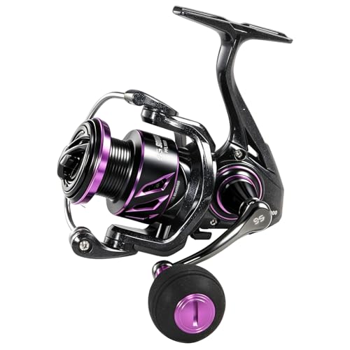Spinning Reel
