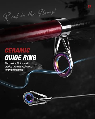 5PCS Fishing Rod and Reel Combo (1.8m/6ft / Full Kit With Carrier Bag)
