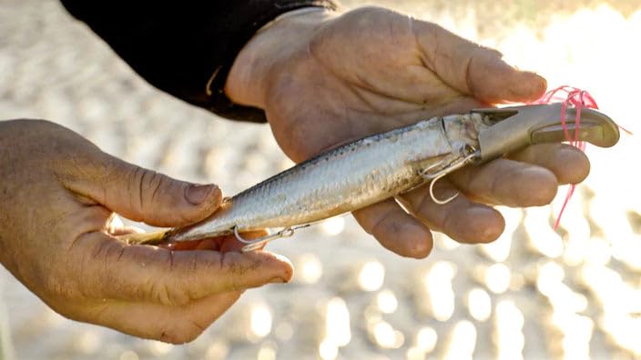Dead Bait Trolling Lure