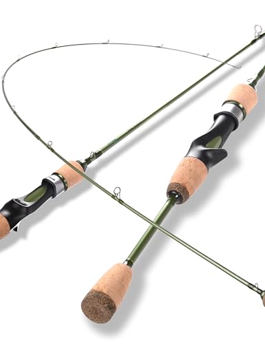 Wild Streams Ultralight Spinning&Casting Trout Rod
