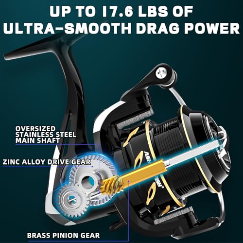 DF Series Spinning Reel Saltwater & Freshwater Fishing Reel (2000 / Shallow Spool Line Cup(dfb))