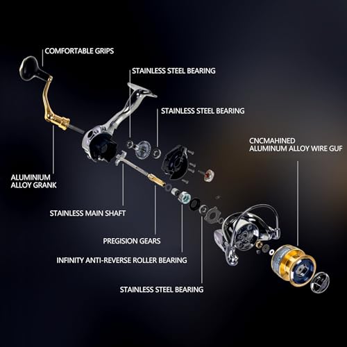 Spinning Fishing Reel for Freshwater Saltwater Fishing (Gx1000 (13+1 Ball Bearings))