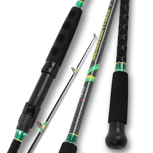 2 Piece Surf Spinning (Cast / 8'6" / 2pc)