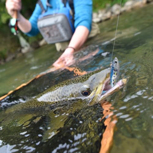 6 pcs Jig Head Soft Fishing Lures (6 pcs Paddle Tail Soft Lures)
