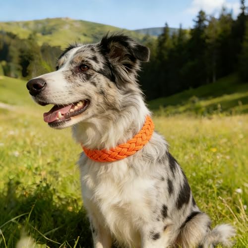 Paracord 550 Rope (Orange / 250FT)