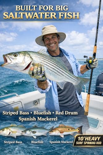 10Ft Spinning Fishing Rod (10'0"-Heavy-Fast-Black)