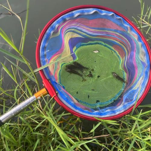 FishingNet2PieceSetRetractableNet forCatchingFrogs andTadpoles (Blue + Pink / 68.5)