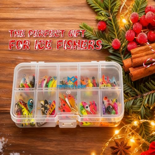 Master Ice Fishing Jigs Kit (D-100PCS)