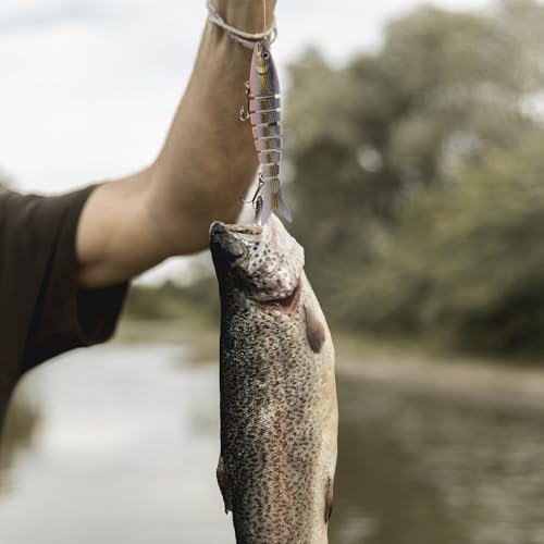 Fishing Lures (A1(5.3in 0.6oz))
