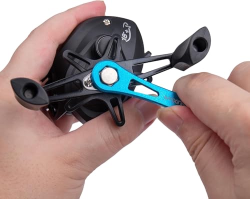 Fishing Reel Cleaning (Blue)