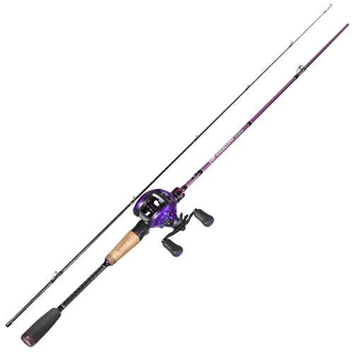 Fishing Rod and Reel Combo