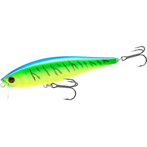 Pointer 100SSR