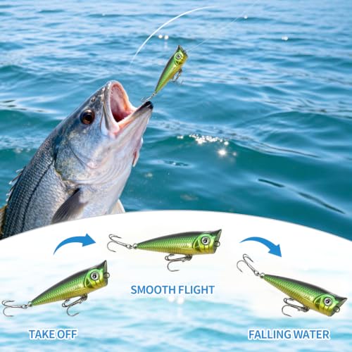 Top Water Popper Lures (5pcs Soild Color)