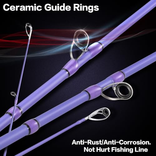 VoidFlare Performance Spinning & Casting Fishing Rod