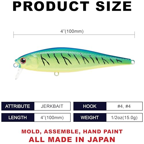 Pointer 100SSR