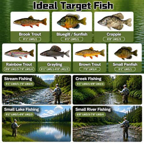 Whisperer Fly Fishing Rod and Reel Combo (6'1'' LW0/1 / Rod Kit)