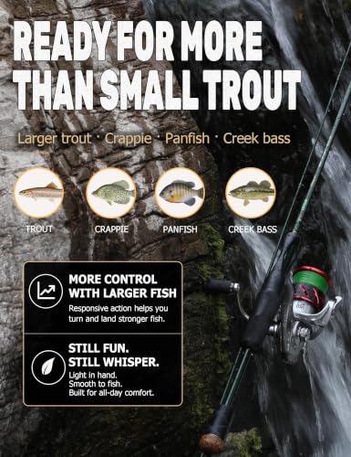 Whisper 6' Ultralight Spinning Rod for Trout (6')