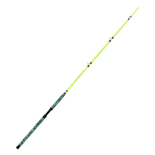 Catfish Fishing Rods