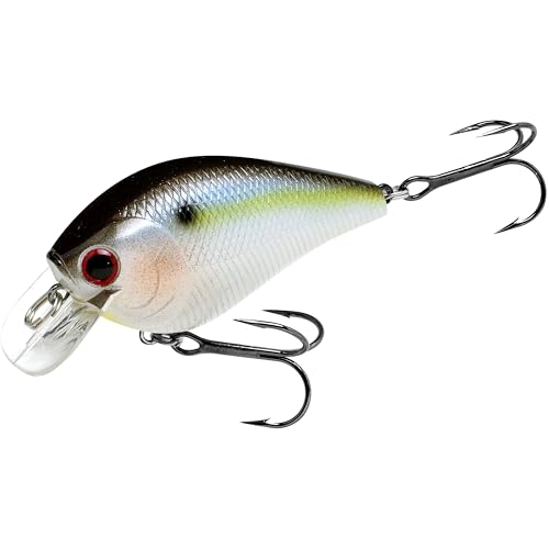 Fat CB BDS2 Fishing Lure