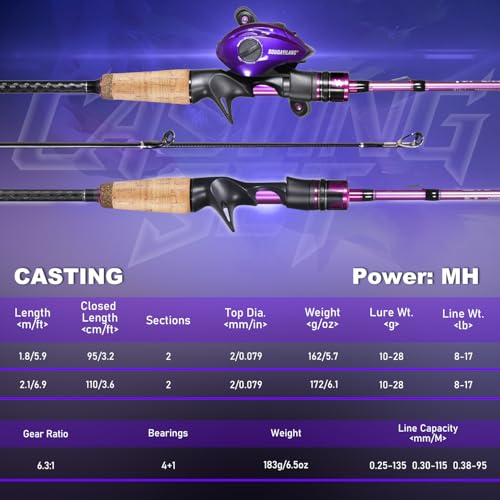 Fishing Rod and Reel Combo