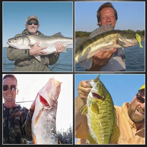 Baitholder Hooks Fishing Offset