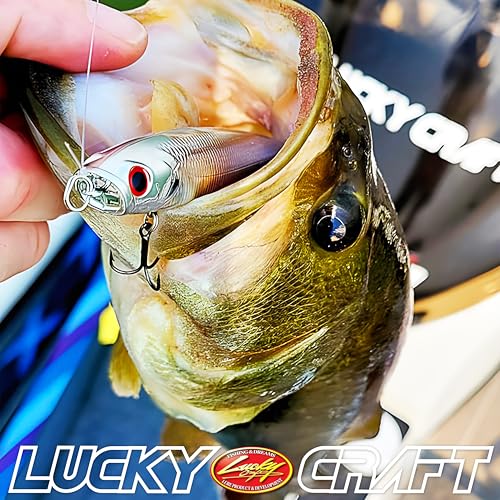 Gunfish 95NF Top Water Bass Fishing Lures
