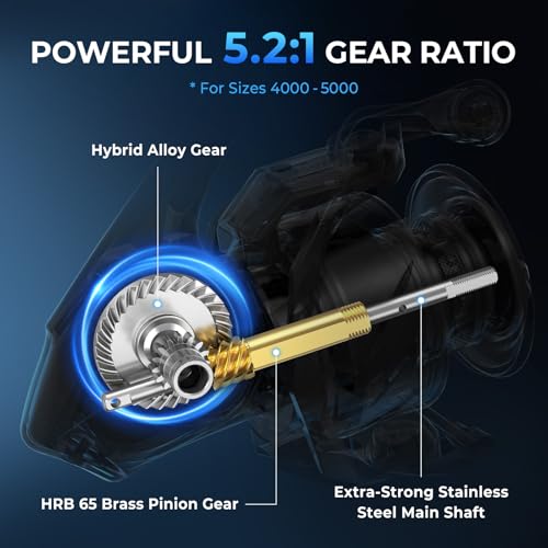 Verus Spinning Fishing Reels (Black / Size:4000)